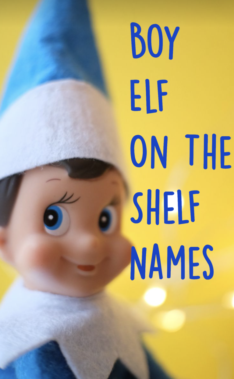 a boy elf on the shelf doll with a blue outfit and the text overlay "Boy Elf On The Shelf Names"